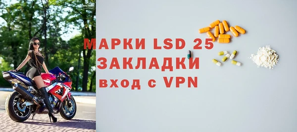 гидра Каменногорск