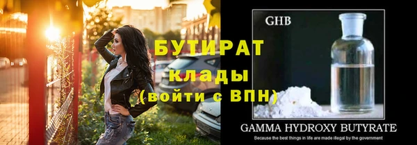 гидра Каменногорск
