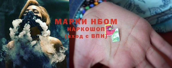 гидра Каменногорск