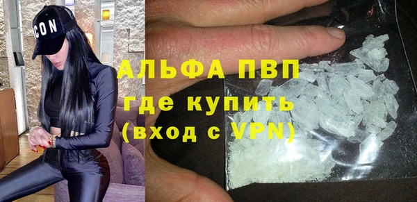 гидра Каменногорск