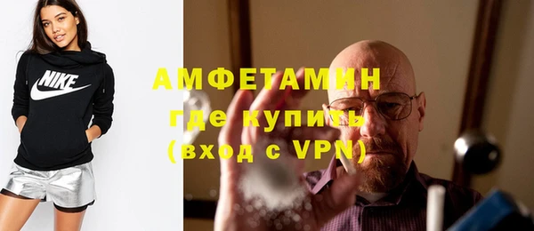гидра Каменногорск