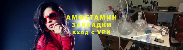 гидра Каменногорск