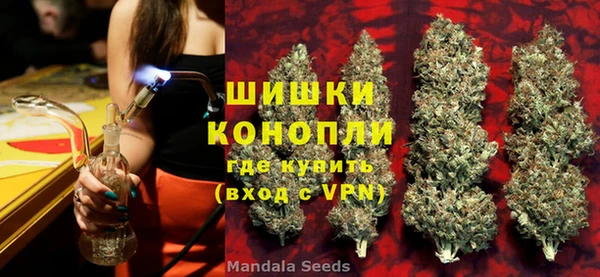 гидра Каменногорск