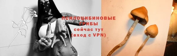 гидра Каменногорск