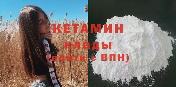 гидра Каменногорск