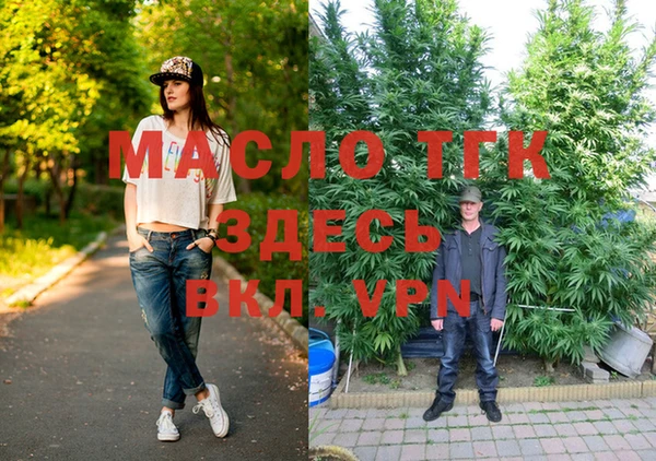 гидра Каменногорск