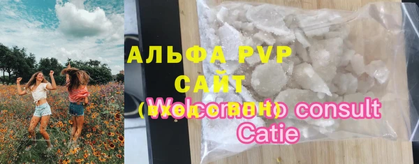 гидра Каменногорск
