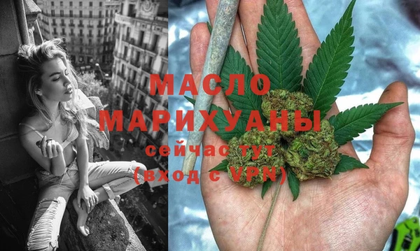 гидра Каменногорск
