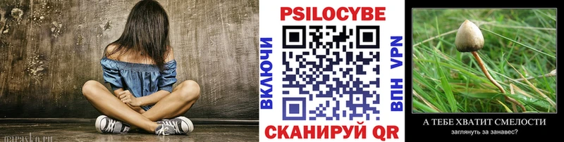 Галлюциногенные грибы прущие грибы  Купить  Чекалин 
